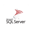 Microsoft SQL Server